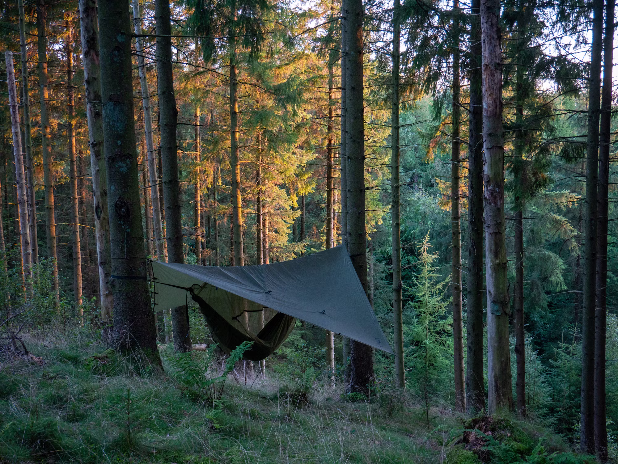 Die Natur erkunden: Ihr ultimativer Leitfaden für den Erfolg beim Camping